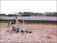 Jumping lesson with Weetabix