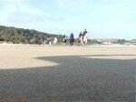 Cantering on Marble Hill Beach