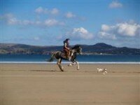 Horseback riding on Irish Hunters on Atlantic Beaches in Ireland