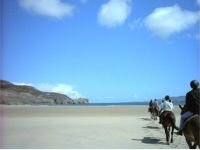 Hourly Beach ride with Dunfanaghy Stables