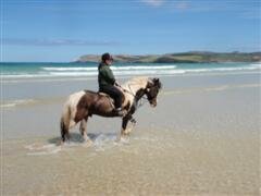 Splashing in the waves after a long canter on Tramore, Dunfanaghy, Co. Donegal