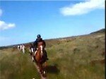 Cantering on the Famine Track in June